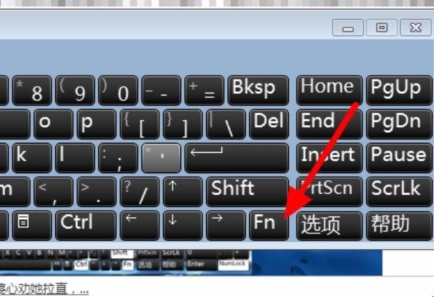 键盘f1到f12不能用怎么解决