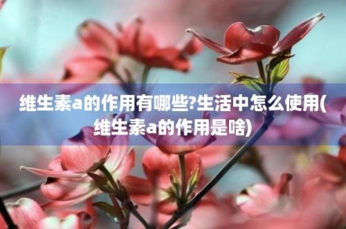 维生素a的作用有哪些?生活中怎么使用(维生素a的作用是啥)