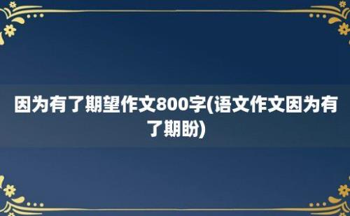 因为有了期望作文800字(语文作文因为有了期盼)