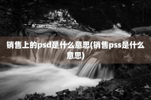 销售上的psd是什么意思(销售pss是什么意思)