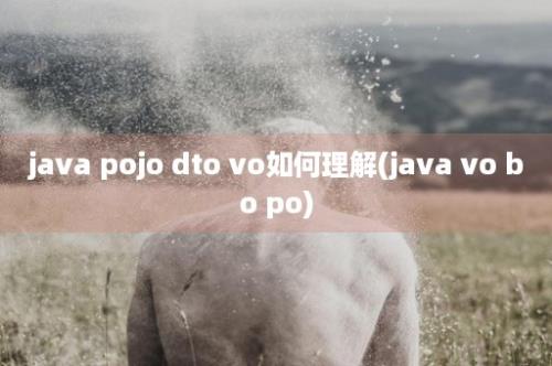 java pojo dto vo如何理解(java vo bo po)