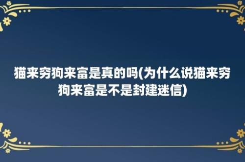 猫来穷狗来富是真的吗(为什么说猫来穷狗来富是不是封建迷信)