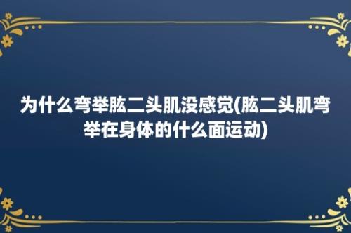 为什么弯举肱二头肌没感觉(肱二头肌弯举在身体的什么面运动)