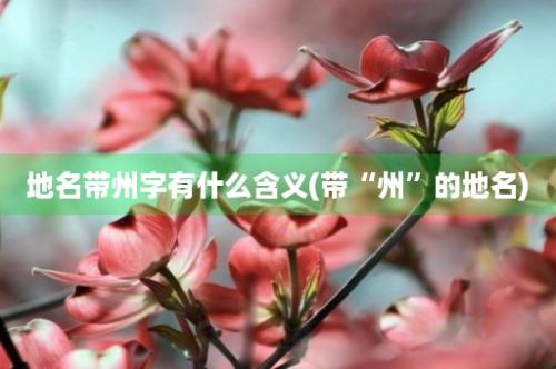 地名带州字有什么含义(带“州”的地名)