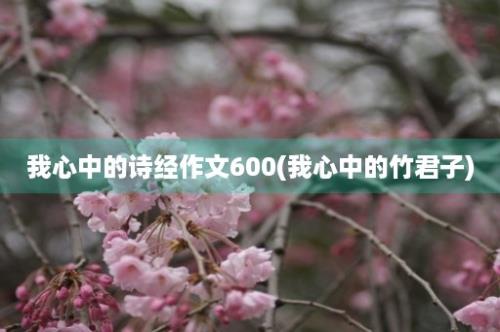 我心中的诗经作文600(我心中的竹君子)