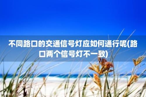 不同路口的交通信号灯应如何通行呢(路口两个信号灯不一致)