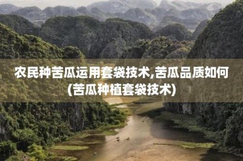 农民种苦瓜运用套袋技术,苦瓜品质如何(苦瓜种植套袋技术)