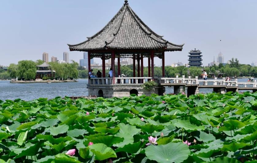 大明湖畔