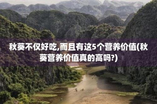 秋葵不仅好吃,而且有这5个营养价值(秋葵营养价值真的高吗?)