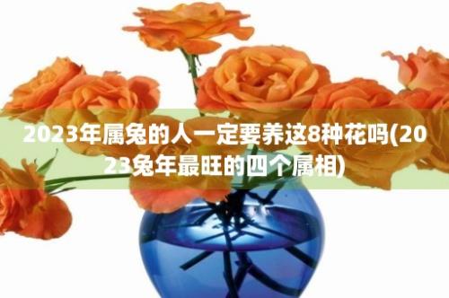 2023年属兔的人一定要养这8种花吗(2023兔年最旺的四个属相)