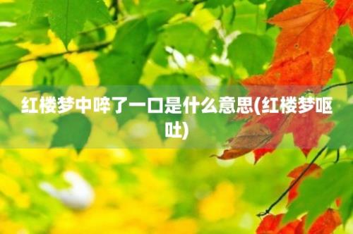 红楼梦中啐了一口是什么意思(红楼梦呕吐)