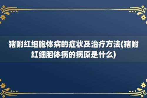 猪附红细胞体病的症状及治疗方法(猪附红细胞体病的病原是什么)