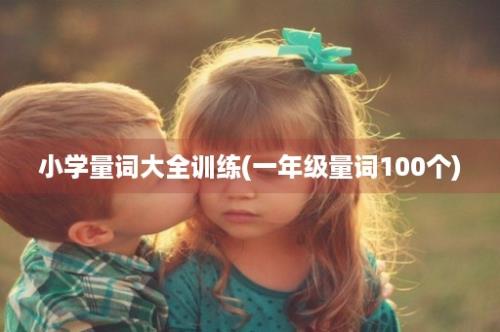 小学量词大全训练(一年级量词100个)