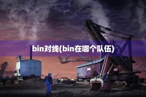 bin对线(bin在哪个队伍)