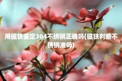 用磁铁鉴定304不绣钢正确吗(磁铁判断不锈钢准吗)