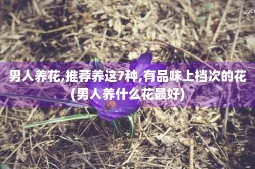 男人养花,推荐养这7种,有品味上档次的花(男人养什么花最好)