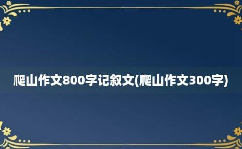 爬山作文800字记叙文(爬山作文300字)