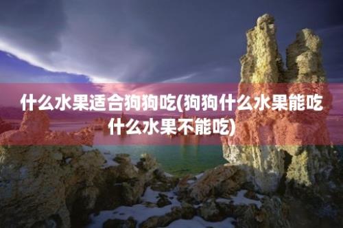 什么水果适合狗狗吃(狗狗什么水果能吃什么水果不能吃)