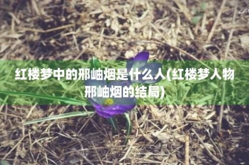 红楼梦中的邢岫烟是什么人(红楼梦人物邢岫烟的结局)