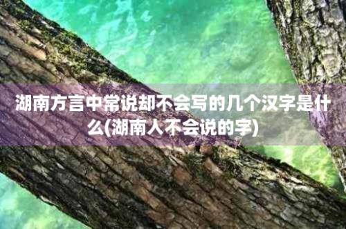 湖南方言中常说却不会写的几个汉字是什么(湖南人不会说的字)