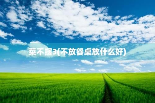 菜不摆3(不放餐桌放什么好)