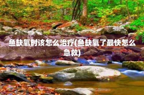 鱼缺氧时该怎么治疗(鱼缺氧了最快怎么急救)