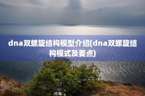 dna双螺旋结构模型介绍(dna双螺旋结构模式及要点)