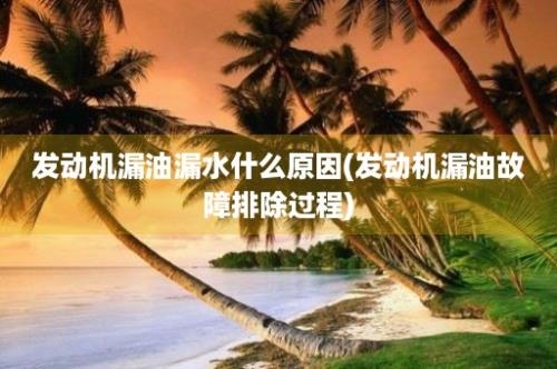 发动机漏油漏水什么原因(发动机漏油故障排除过程)