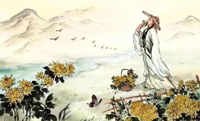 杨万里字什么号什么