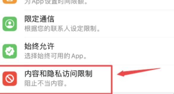 iphone 访问限制在哪