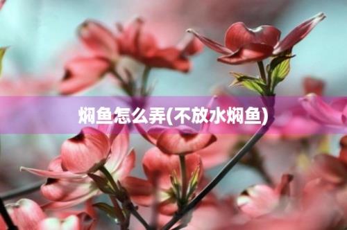 焖鱼怎么弄(不放水焖鱼)