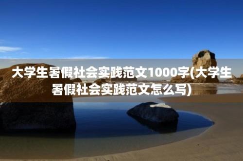 大学生暑假社会实践范文1000字(大学生暑假社会实践范文怎么写)