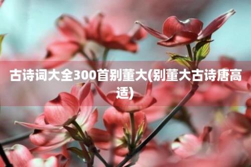 古诗词大全300首别董大(别董大古诗唐高适)