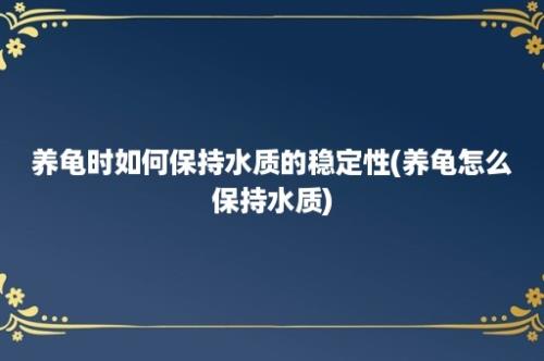 养龟时如何保持水质的稳定性(养龟怎么保持水质)