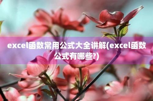 excel函数常用公式大全讲解(excel函数公式有哪些?)