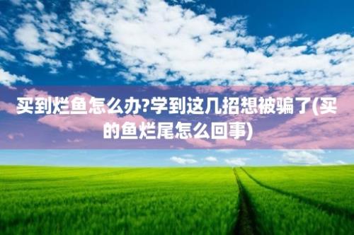 买到烂鱼怎么办?学到这几招想被骗了(买的鱼烂尾怎么回事)