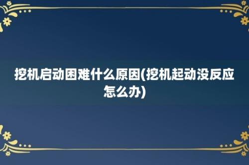 挖机启动困难什么原因(挖机起动没反应怎么办)