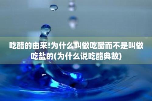 吃醋的由来!为什么叫做吃醋而不是叫做吃盐的(为什么说吃醋典故)