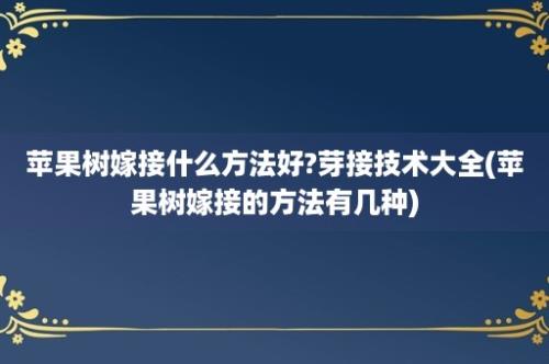 苹果树嫁接什么方法好?芽接技术大全(苹果树嫁接的方法有几种)