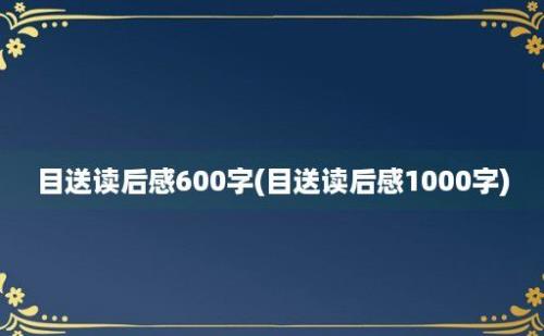 目送读后感600字(目送读后感1000字)