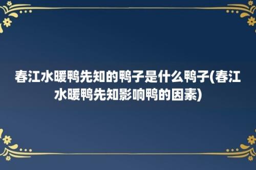 春江水暖鸭先知的鸭子是什么鸭子(春江水暖鸭先知影响鸭的因素)