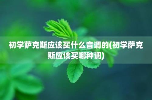 初学萨克斯应该买什么音调的(初学萨克斯应该买哪种调)