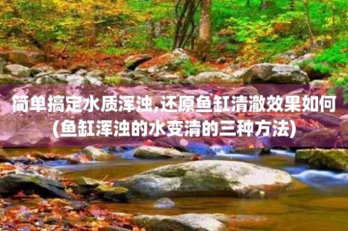 简单搞定水质浑浊,还原鱼缸清澈效果如何(鱼缸浑浊的水变清的三种方法)