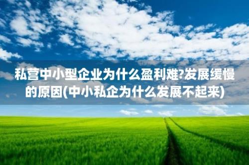 私营中小型企业为什么盈利难?发展缓慢的原因(中小私企为什么发展不起来)