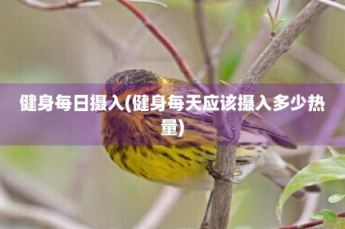 健身每日摄入(健身每天应该摄入多少热量)