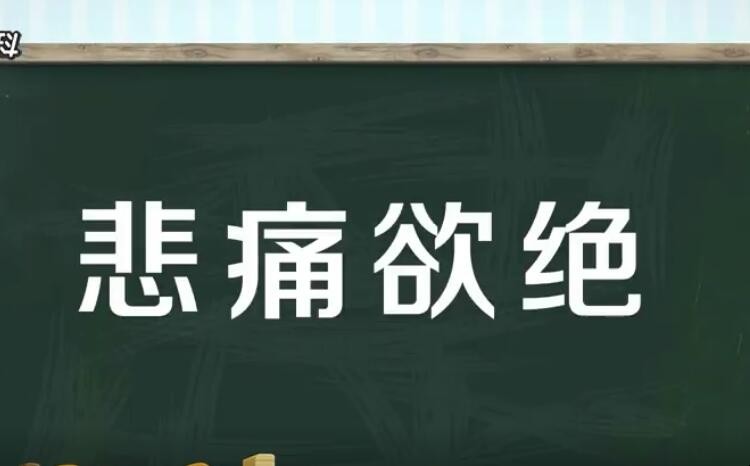 悲痛欲绝的意思是什么