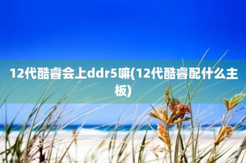 12代酷睿会上ddr5嘛(12代酷睿配什么主板)