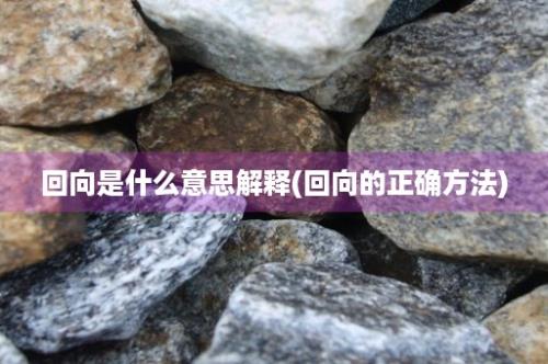 回向是什么意思解释(回向的正确方法)