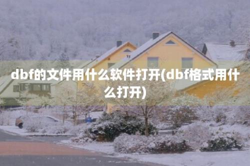 dbf的文件用什么软件打开(dbf格式用什么打开)