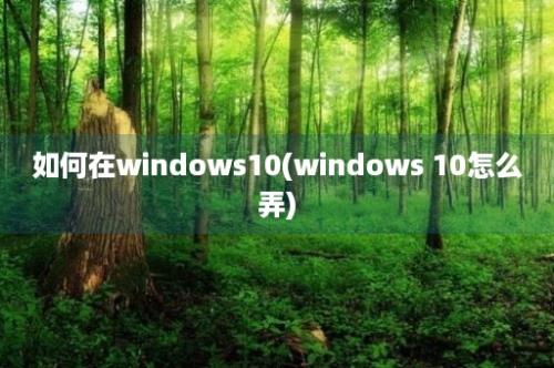 如何在windows10(windows 10怎么弄)